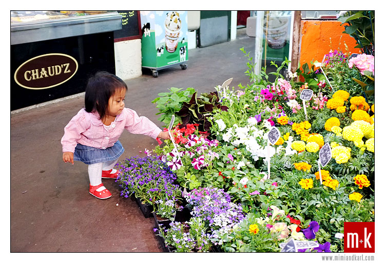 Katy picking flowers at a France market. Katy picking flowers at a France market.