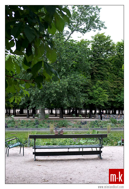Tuileries Garden Lovebirds